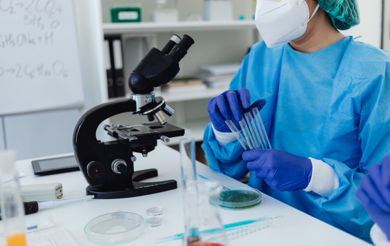 Lab