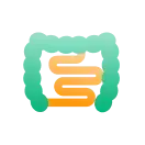 Gut Health